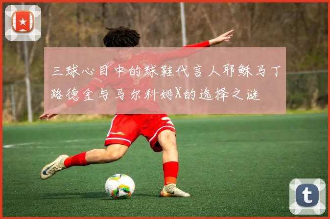 三球心目中的球鞋代言人耶稣马丁路德金与马尔科姆X的选择之谜